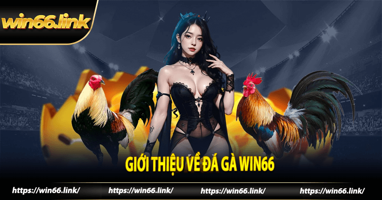 Giới thiệu về đá gà win66