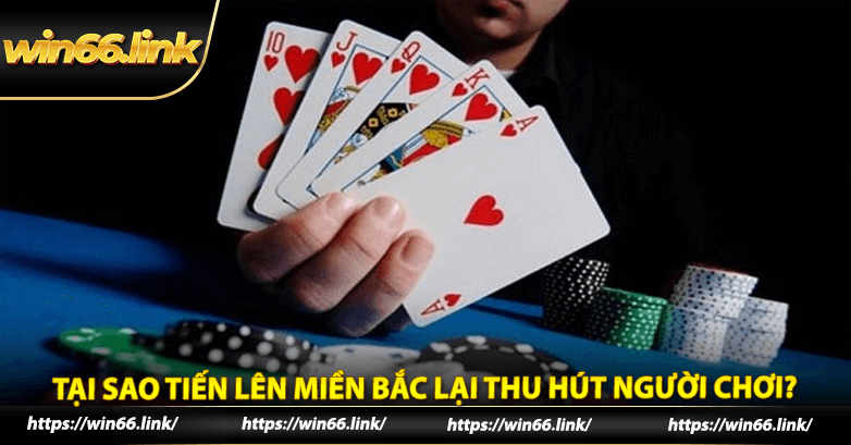 Tại sao tiến lên miền Bắc lại thu hút người chơi?